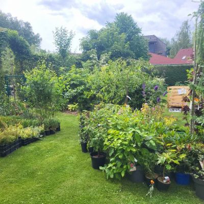 C:\fakepath\427704799 254977950981275 926204992864097198 n