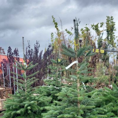 C:\fakepath\474857781 1134145342002962 2222937151848061894 n