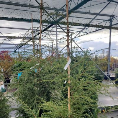 C:\fakepath\475329357 1134145242002972 4481608512462177225 n