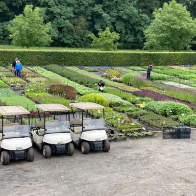 C:\fakepath\475420275 1134204431997053 7214598233525318624 n