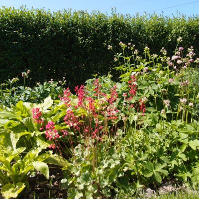 C:\fakepath\Kornatice (2)