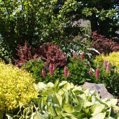 C:\fakepath\Kornatice (4)