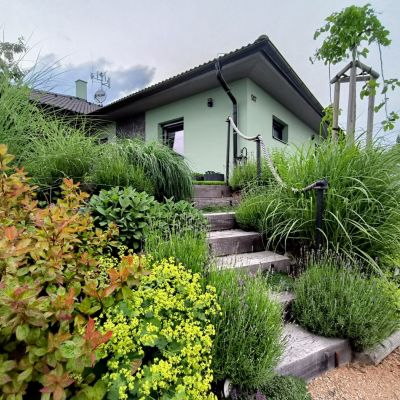 C:\fakepath\Oliv (2)