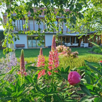 C:\fakepath\Oliv (3)