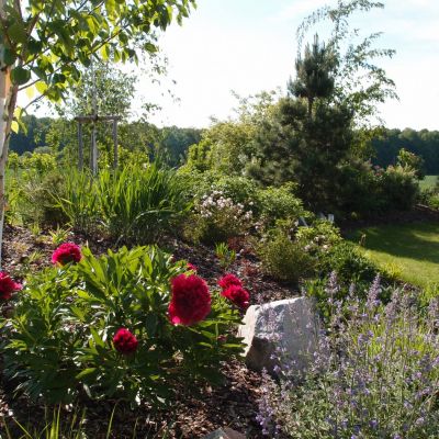 C:\fakepath\P5141631