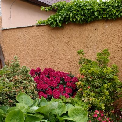 C:\fakepath\P5275687