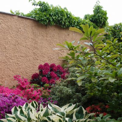 C:\fakepath\P5275690