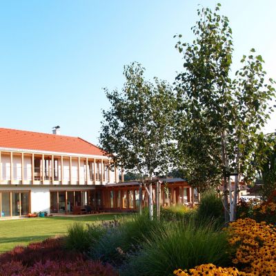 C:\fakepath\P8230516