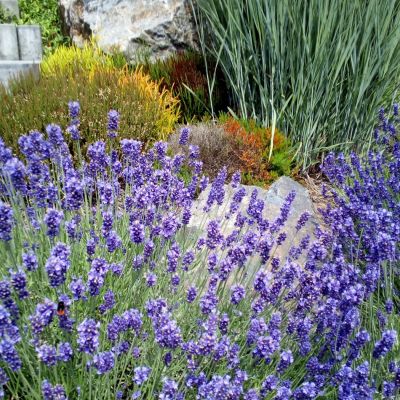 C:\fakepath\Zdemyslice (2)