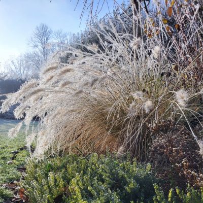 C:\fakepath\20241227 124511