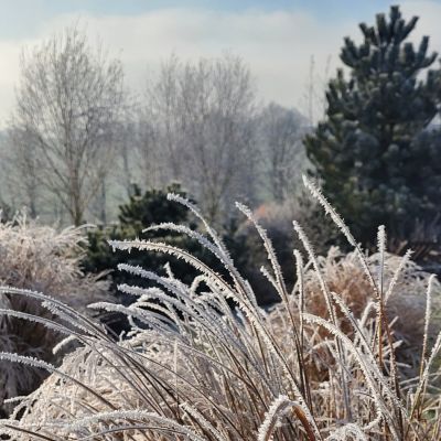 C:\fakepath\20241227 131228