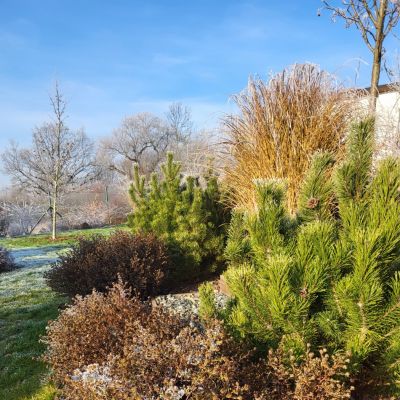 C:\fakepath\20241227 131428