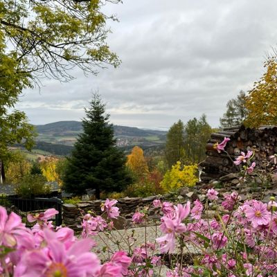 C:\fakepath\IMG 20221015 WA0000