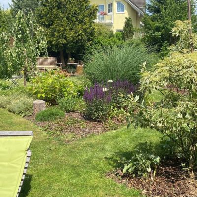 C:\fakepath\Oliv (12)