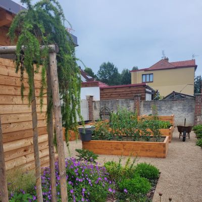 C:\fakepath\Oliv (16)