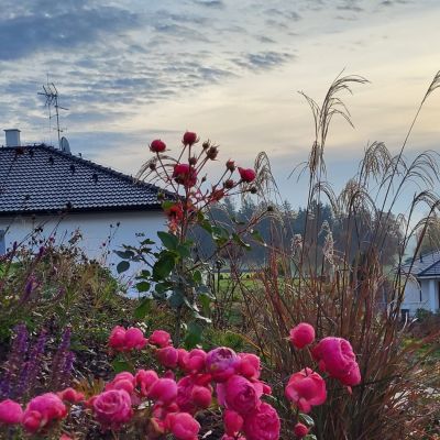 C:\fakepath\20221111 080515