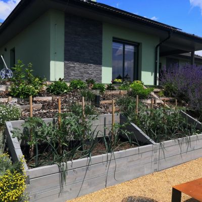 C:\fakepath\IMG 20230618 WA0010