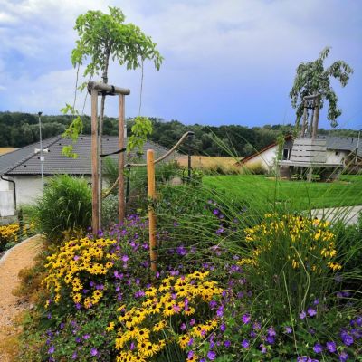 C:\fakepath\IMG 20230812 WA0005