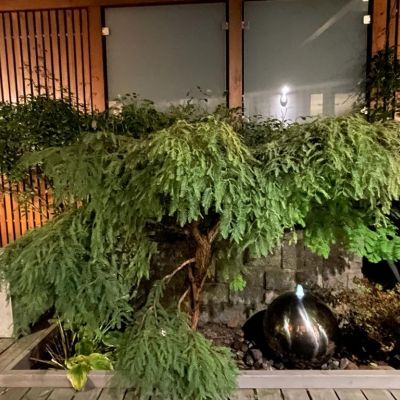 C:\fakepath\IMG 20231030 WA0012