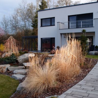 C:\fakepath\P4131524