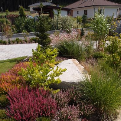 C:\fakepath\P8238571