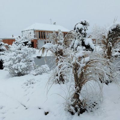 C:\fakepath\29064411 2128582677157530 1938614053084095170 o