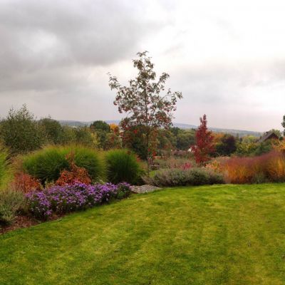 C:\fakepath\326277359 800841328070416 3335243539817806136 n