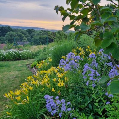 C:\fakepath\416342206 1028828984869706 4941149700065958113 n