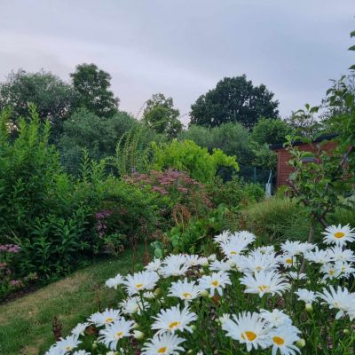 C:\fakepath\416411646 1371581200134956 3244982655512142093 n