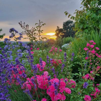 C:\fakepath\416429854 914980476580741 2318278819323861320 n