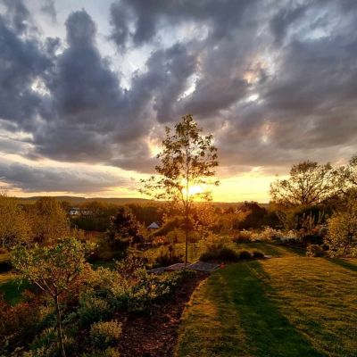 C:\fakepath\415321679 1064887414820328 3540440363019583087 n