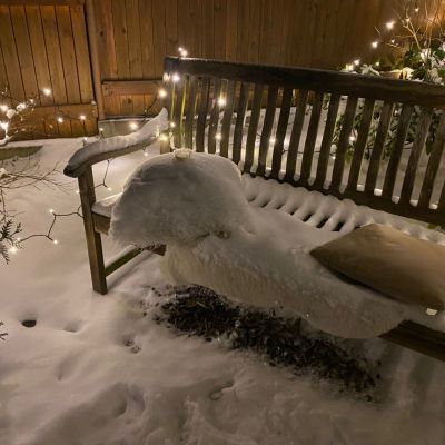 C:\fakepath\IMG 20221216 WA0005